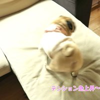 ハイテンションになってぐるぐる♪