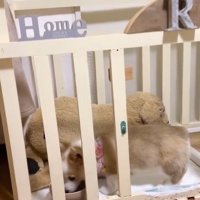 お水を飲むレナちゃん