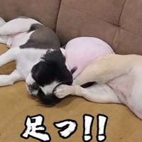 蹴ってるよ！！