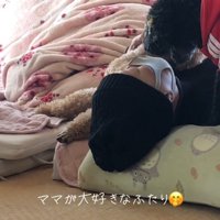 布団に横になっている女性の顔をのぞき込む黒い犬