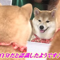 「私、こんなに可愛かったのね」