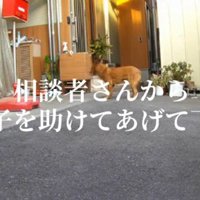 住宅に迷い込んだ犬