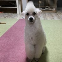 前から見てもインパクト大！！