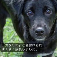 すっかり綺麗な体に！