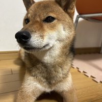 キリッ