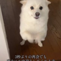歓迎するべらちゃん