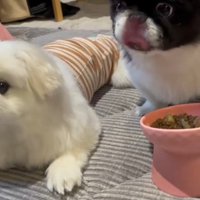 「まだ食べ終わらないのかな？」