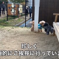 お友達にご挨拶♪