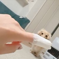 絆創膏