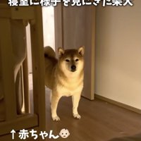 寝室にやってきた幹雄くん