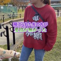 女性のそばで地面の匂いをかぐ犬