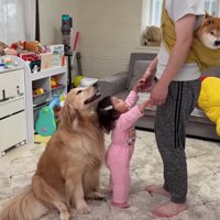 「ほのも抱っこして！」