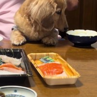 食事時間も家族と一緒♡