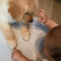 手を上げる赤ちゃん