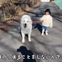 本当の姉妹みたい…