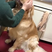 ついついニッコリ笑顔に