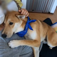 子どものように甘えん坊♡