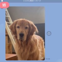 仕事