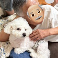 お父さん