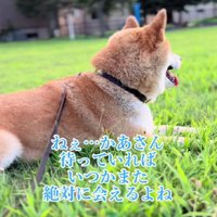 「待っていれば会えるかな？」