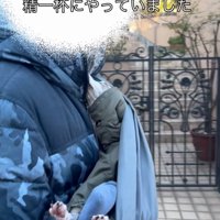 抱っこ紐で犬をお散歩