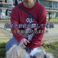 女性の隣でリードにつながれて座る犬
