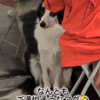 作業中のお姉ちゃんとアグちゃん9