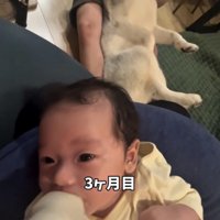 並んで哺乳瓶を口にする犬と赤ちゃん