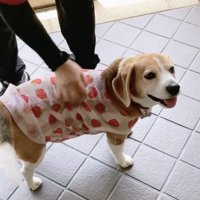 幸せそうな笑顔