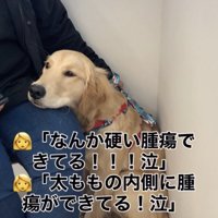 不安でいっぱいに