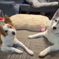 仲良し