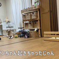 「嘘でしょ？まだ寝ないの？」