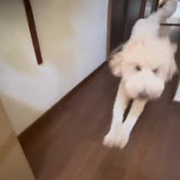 全身で喜ぶ姿にホロリ…