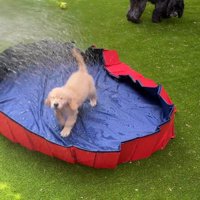 自分から浴びにきました！