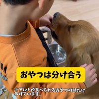 アルトくんと子どもたちの日常3