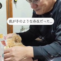 感動の再会
