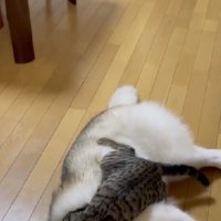1週間ぶりに再会