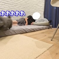 結局逃げてしまいました…