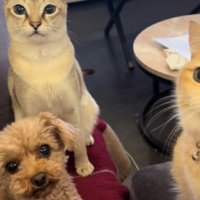 視線が痛い…！