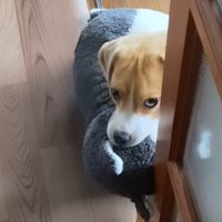 かわいすぎる「お出迎え」