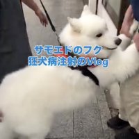 大人3人がかりで院内へ