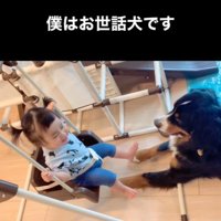 女の子を見守るダンロくん