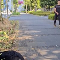 パパがやってきた！