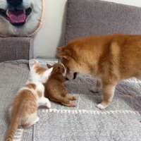 「混ぜてほしいな」