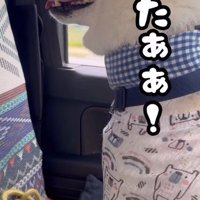 「嘘じゃなかったんだ！」