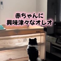 赤ちゃんとの初対面