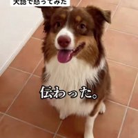 まさかの効果てきめん！！