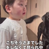 ママに叱られていると…