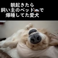 最高の表情ｗ
