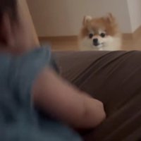 ピョンピョンする赤ちゃん